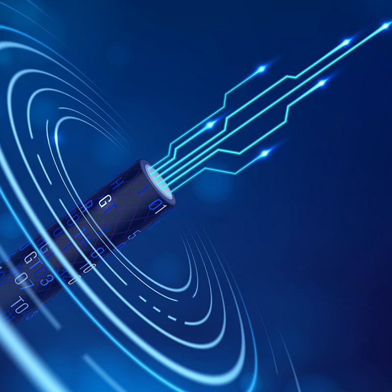 Lianou Electric esittelee innovatiivisia tuotteita International Electrical Expo -messuilla vihreän trendin johtajana